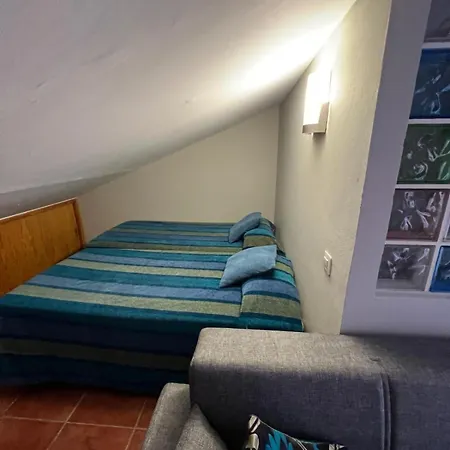 Jardin Botanico 75 Holiday home
